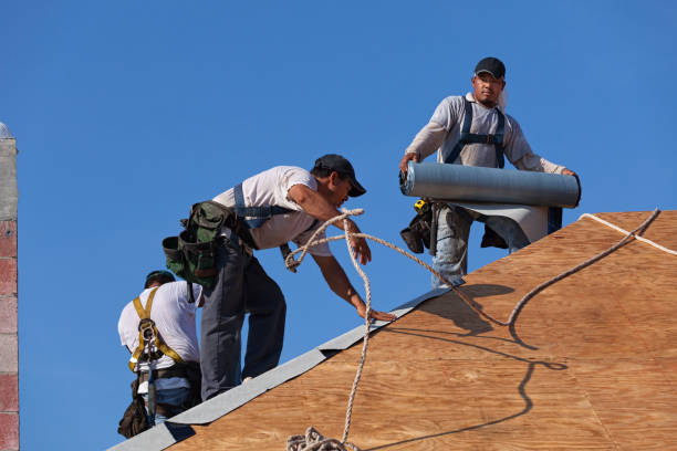 Best Roof Replacement Cost  in Little Ferry, NJ