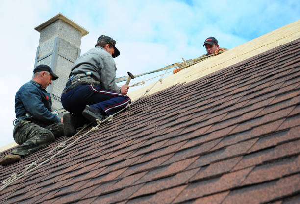 Best Roof Maintenance Services  in Little Ferry, NJ